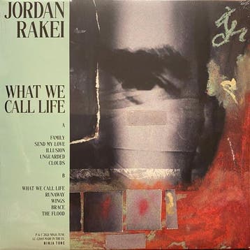 Jordan Rakei - What We Call Life, Verzenden