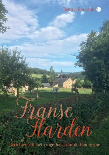 Franse Flarden 9789465090283 Bettina Buissink, Boeken, Verzenden, Zo goed als nieuw, Bettina Buissink