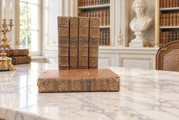 Éléazar de Mauvillon - Histoire du Prince François Eugène de