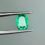 Zonder minimumprijs Groen Smaragd - 1.24 ct - International, Nieuw