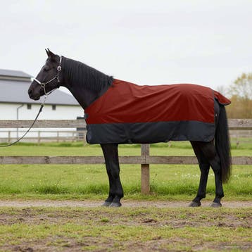 vidaXL Paardendeken Bordeaux en zwart 165 cm Polyester, Dieren en Toebehoren, Verzenden, Nieuw