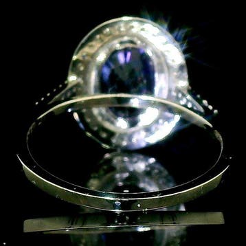 Ring Platina - 4.78ct. tw. Saffier - Diamant - Sapphire Halo, Nieuw