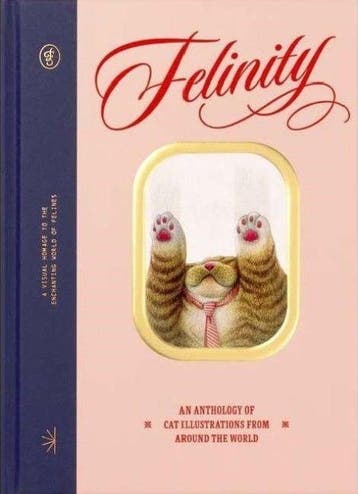 Felinity |  | Nieuw, Verzenden, Nieuw