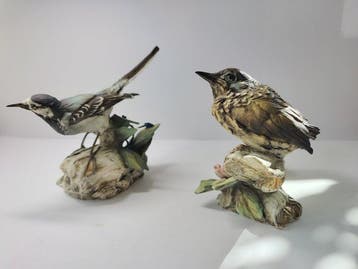 Tay - Giuseppe Tagliariol - Beeldje, Twee jonge zanglijsters