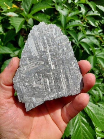 Météorite de Muonionalusta Météorite de fer - Hauteur : 10, Collections