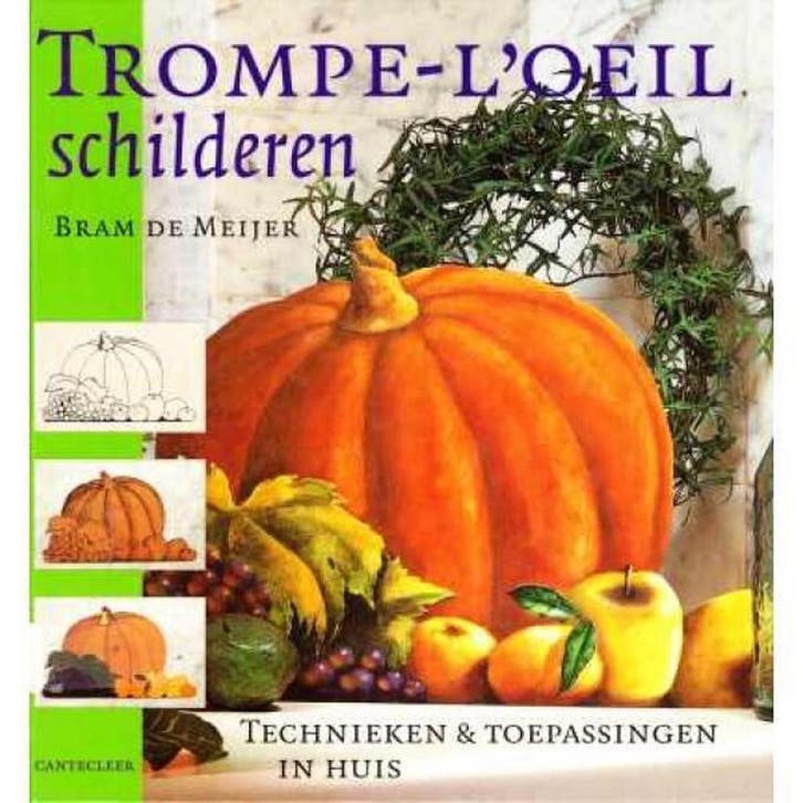 TROMPE-LOEIL SCHILDEREN 9789021325187 B. de Meijer, Livres, Loisirs & Temps libre, Envoi