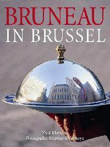 Bruneau in Brussel 9789058560384 J.P. Bruneau, Verzenden, J.P. Bruneau