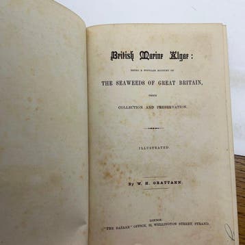 W.H .Grattann - British Marine Algae: being a popular