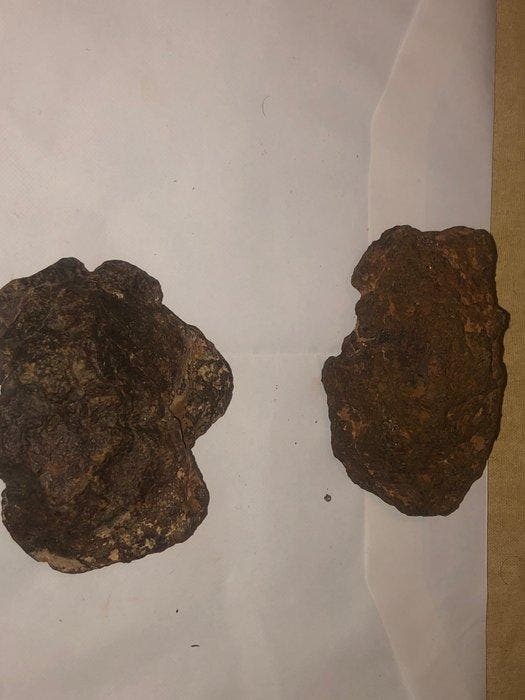 Chondrite meteoriet - 1000 g - (7), Verzamelen, Mineralen en Fossielen