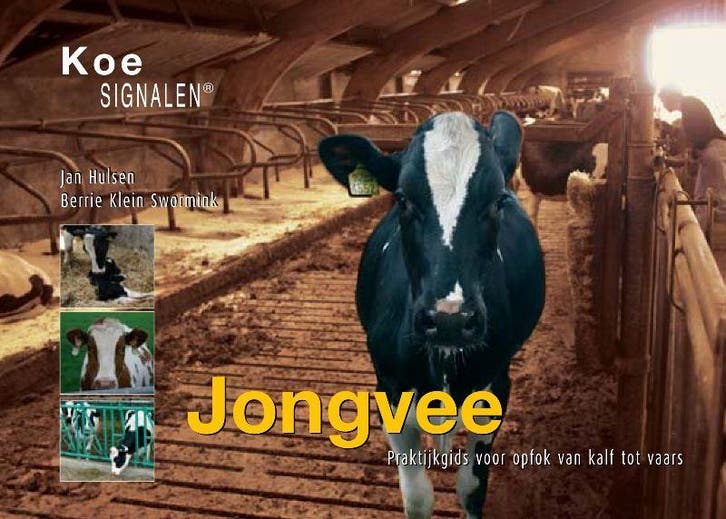 Jongvee / Koesignalen 9789075280661 B. Klein Swormink, Livres, Science, Envoi