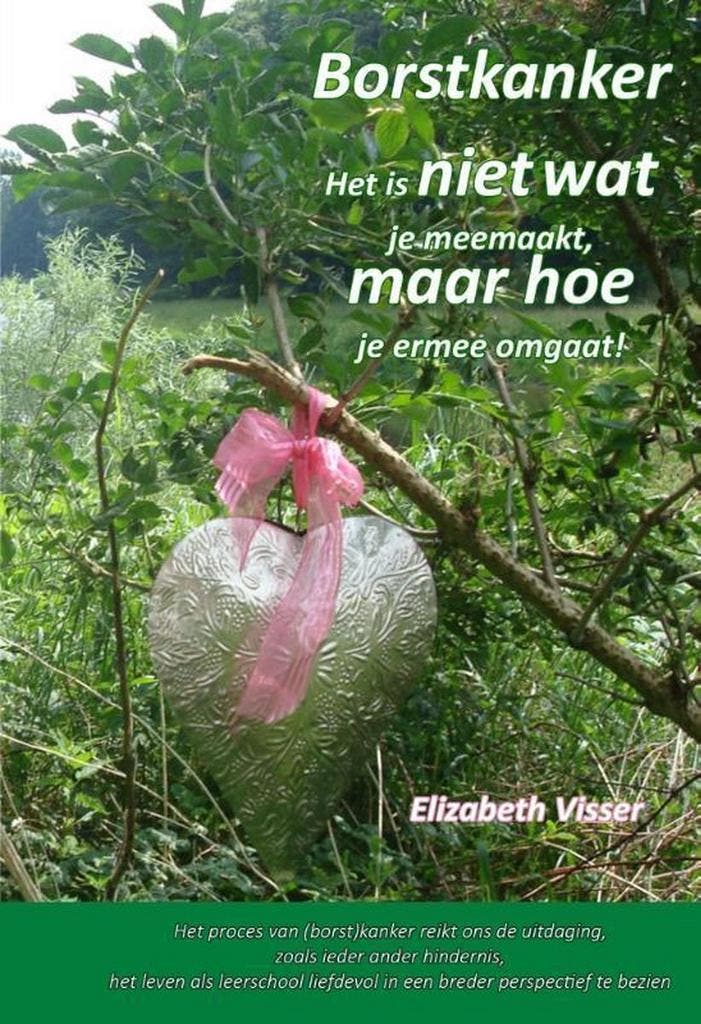 Borstkanker 9789492247124 Elizabeth Visser, Boeken, Esoterie en Spiritualiteit, Zo goed als nieuw, Verzenden