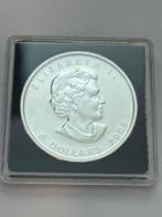 Canada. 5 Dollars 2009 1 oz Maple Leaf (Zonder minimumprijs), Postzegels en Munten