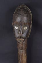 Reliekhoofd - Giftand - Gabon