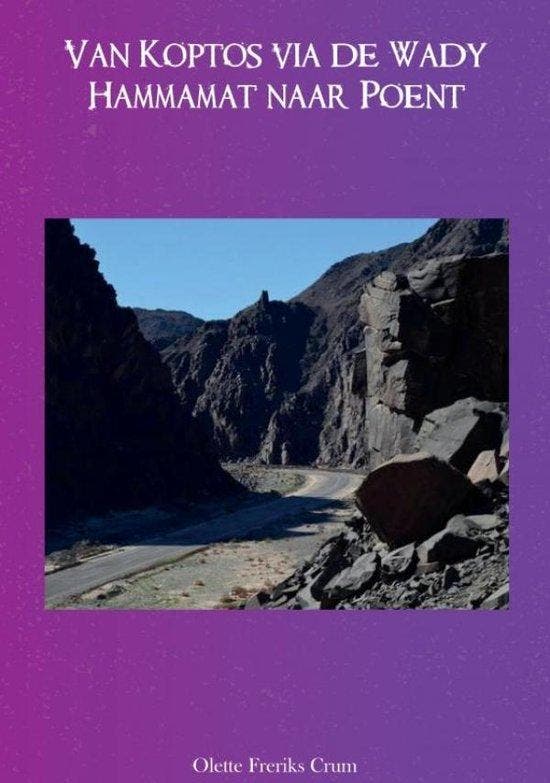 Van Koptos via de Wady Hammamat naar Poent 9789464928112, Livres, Art & Culture | Arts plastiques, Envoi