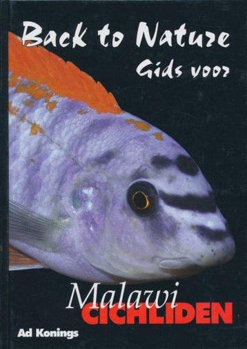 Back to Nature gids voor Malawi Cichliden 9789080600096, Livres, Verzenden, Ad Konings