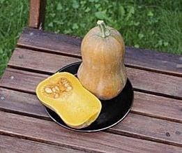 Honeynut Butternut Flespompoen zaden, Nieuw