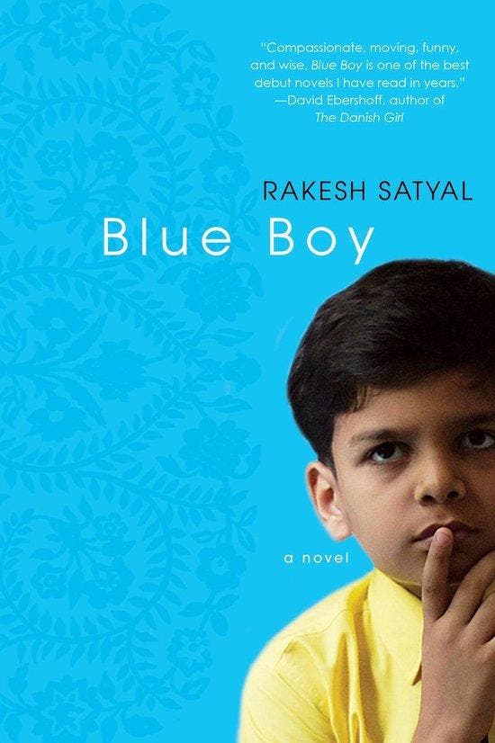 Blue Boy 9781496712097 Rakesh Satyal, Boeken, Taal | Engels, Gelezen, Verzenden