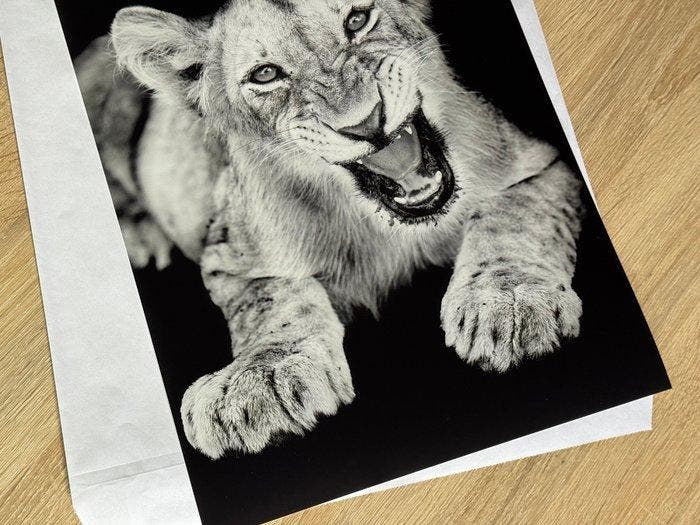 Marco Simoni - “46 days”, Antiquités & Art, Art | Objets design