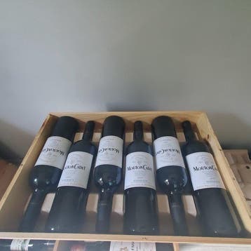 2007 Chateau Mouton Cadet - Bordeaux - 6 Bouteilles (0,75 L)