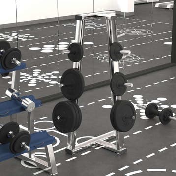vidaXL Halterschijf 20 kg gietijzer, Sport en Fitness, Verzenden, Nieuw