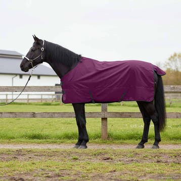 vidaXL Paardendeken Volledig paars 165 cm Polyester, Dieren en Toebehoren, Verzenden, Nieuw