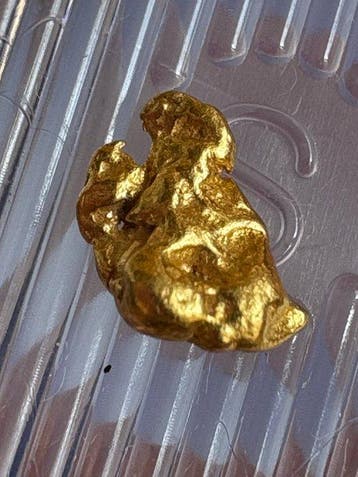 Goud Goud nugget- 0.33 g - (1), Collections