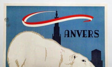 René Van Poppel - Anvers: Visitez le ZOO - BIG / LARGE