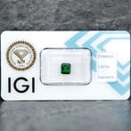 1 pcs Vert Tsavorite - 1.22 ct - International Gemological, Handtassen en Accessoires, Edelstenen, Nieuw