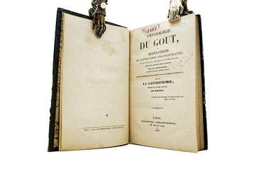 Richerand Anthelme Brillat-Savarin - Physiologie du goût, ou