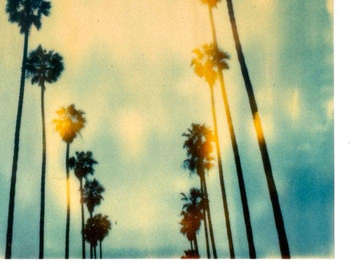 Stefanie Schneider - Stefanie Schneiders Minis Palm Trees, Antiquités & Art, Art | Objets design
