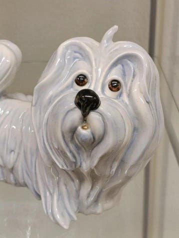 Cacciapuoti - Andrea Righetto - Figuur - Cane maltese in, Antiek en Kunst