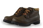 Timberland Veterboots in maat 41 Bruin, Kleding | Heren, Schoenen, Bruin, Verzenden, Timberland, Boots