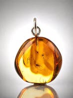 Prachtig honing - Cognac BALTIC AMBER – MOSQUITO met fijn