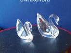 Swarovski - Figurine - Zwaan groot en klein - Cristal