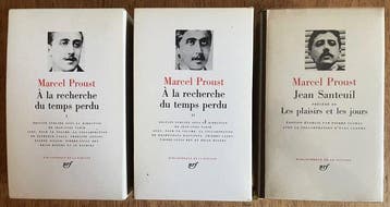 Marcel Proust - À la recherche du temps perdu (Vol. 1 et