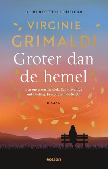 Groter dan de hemel 9789046834114 Virginie Grimaldi, Livres, Verzenden, Virginie Grimaldi