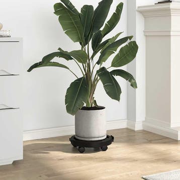 vidaXL Plantentrolley met wielen 170 kg diameter 30 cm zwart, Verzenden, Nieuw