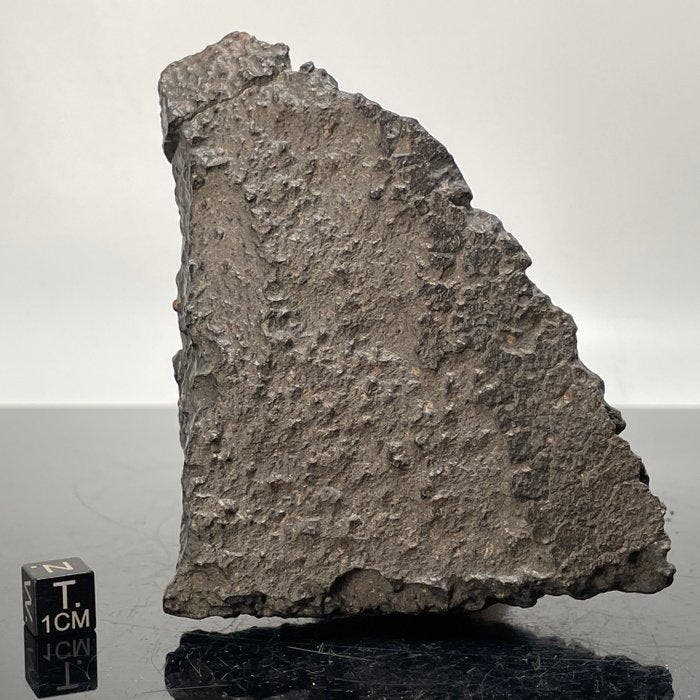 Koolstofhoudende chondriet CK6 SUEILILA 006 ZEER ZELDZAM, Verzamelen, Mineralen en Fossielen