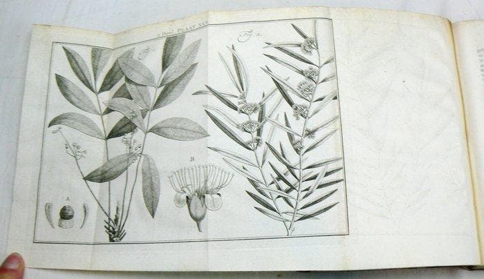 Martinus Houttuyn, Carl von Linné - Natuurlyke historie of, Antiquités & Art, Antiquités | Livres & Manuscrits