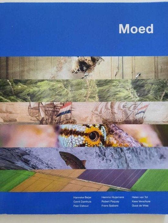 Moed 9789081256070 Hanneke Beijer, Boeken, Economie, Management en Marketing, Gelezen, Verzenden