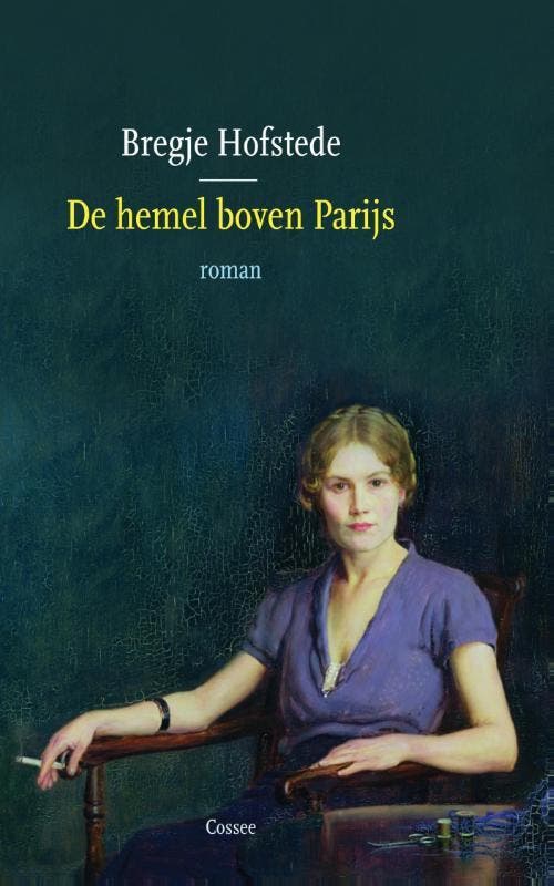 De hemel boven Parijs 9789059364974 Bregje Hofstede, Boeken, Romans, Gelezen, Verzenden