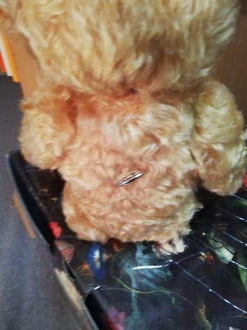 Steiff - Figure - Draaiorgel Beer - Blond Mohair