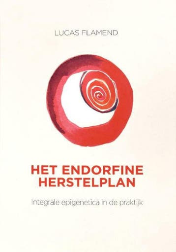 Het endorfine herstelplan 9789082922103 Lucas Flamend, Verzenden, Lucas Flamend