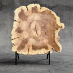 Magnifique tranche de bois pétrifié sur un socle