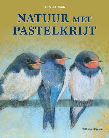 Natuur met pastelkrijt 9789048319749 Loes Botman, Verzenden, Zo goed als nieuw, Loes Botman