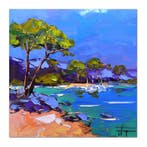 Olivier Pfleger - Mandrafina  Plage des Ondes  Cap