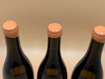2024 Pascal Cotat  Les Monts Damnés Sancerre - Loire - 3, Nieuw