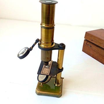 Monocular compound microscope - 1800-1850, 1850-1900 -