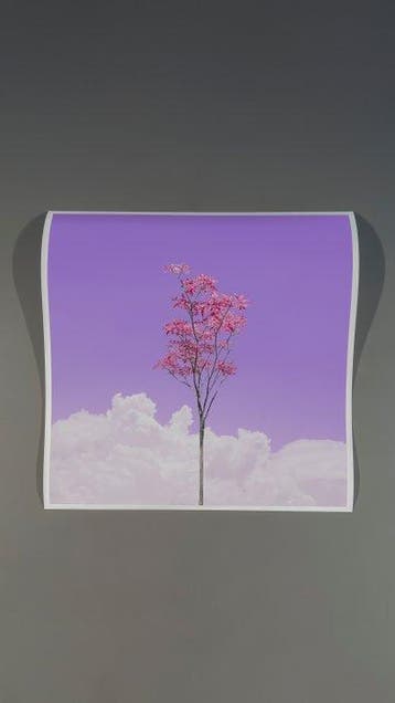 Téber - Lavender Rosé Sangria Foliage · No Reserve