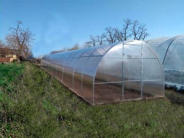 Serre, tuinkas met polycarbonaat 3m*12m*2m, Ophalen of Verzenden, Nieuw, Metaal, Overige typen